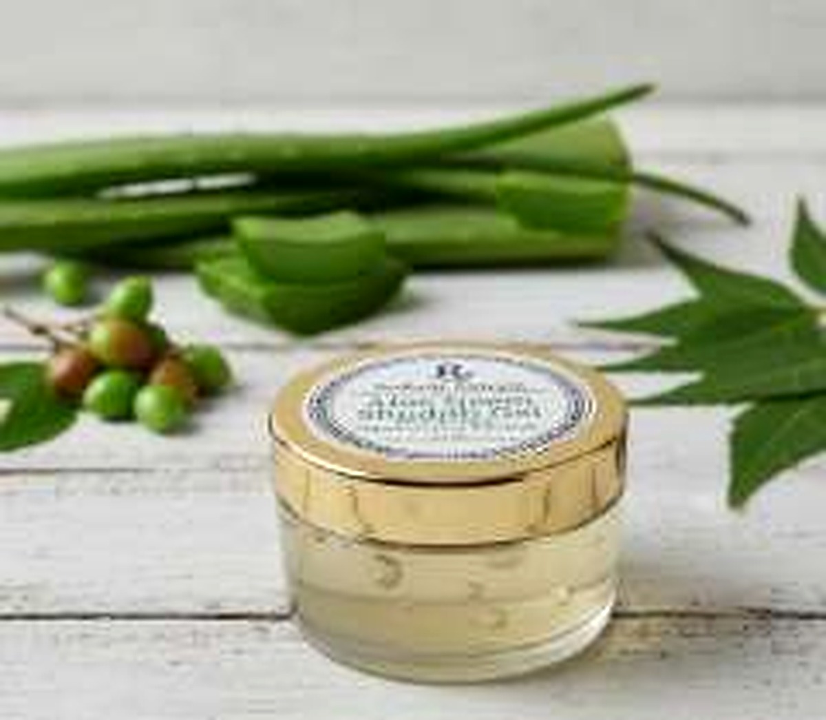 Aloe Neem Shuddh Gel - 50gm